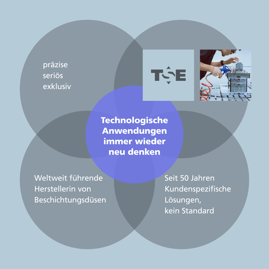 Markenmodell Vier überlappende Kreise mit Aussagen zur Positionierung von TSE Troller als Technologiemarke.
